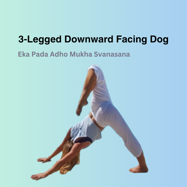 3-Legged Downward Facing Dog